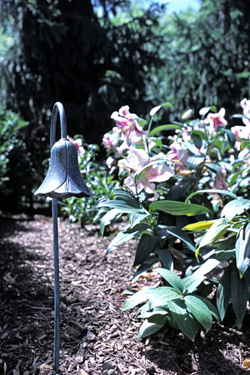 Landscape Lighting