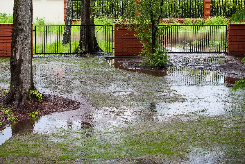 Backyard standing water drainage