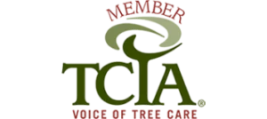 TCIA Member