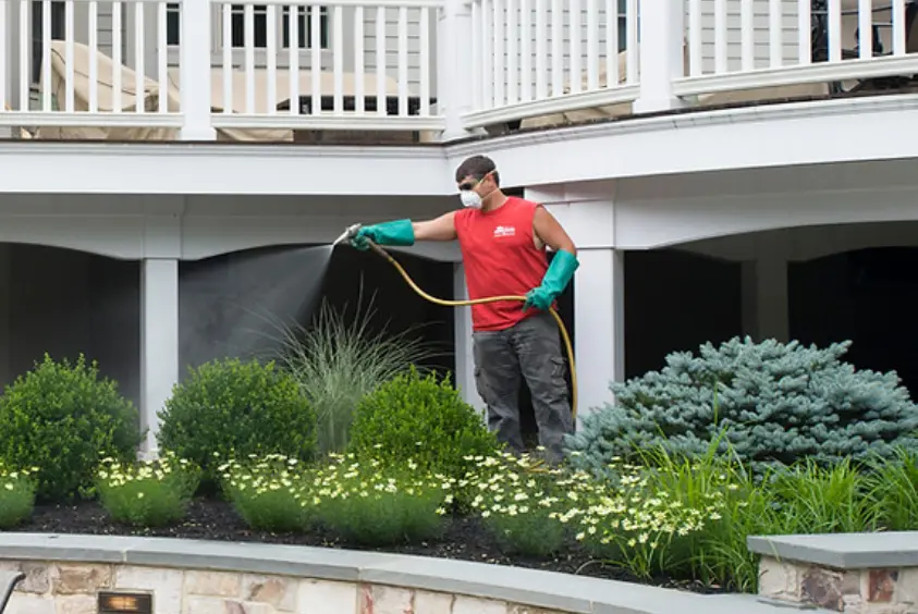 Tree fertilization