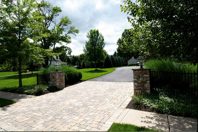 Season-By Season Tree Maintenance Checklist: Year-Round Tips From NJ Expert