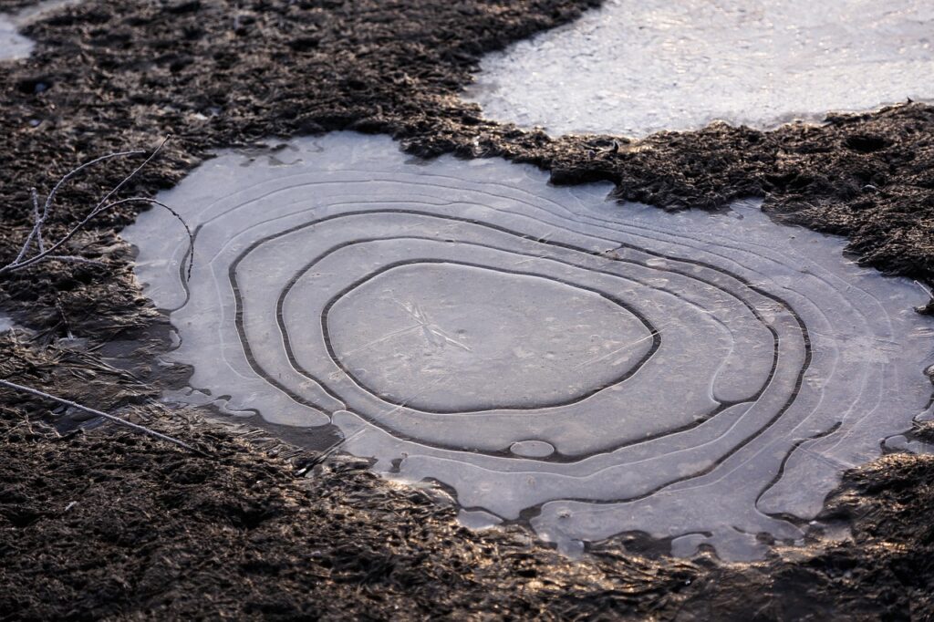 Winter Hardscape Drainage Timing