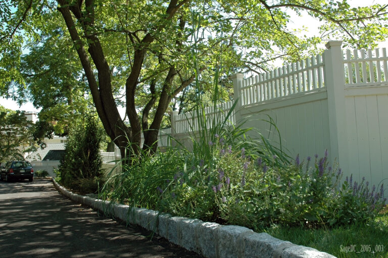 Spring Tree Care & Removal in New Jersey: A Practical Guide for Homeowners