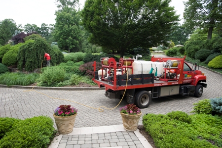 Sage Contractors and Tree Experts- Tree & Shrub Fertilization
